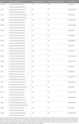 Impact of exogenous hydrogen peroxide on osteogenic differentiation of broiler chicken compact bones derived mesenchymal stem cells